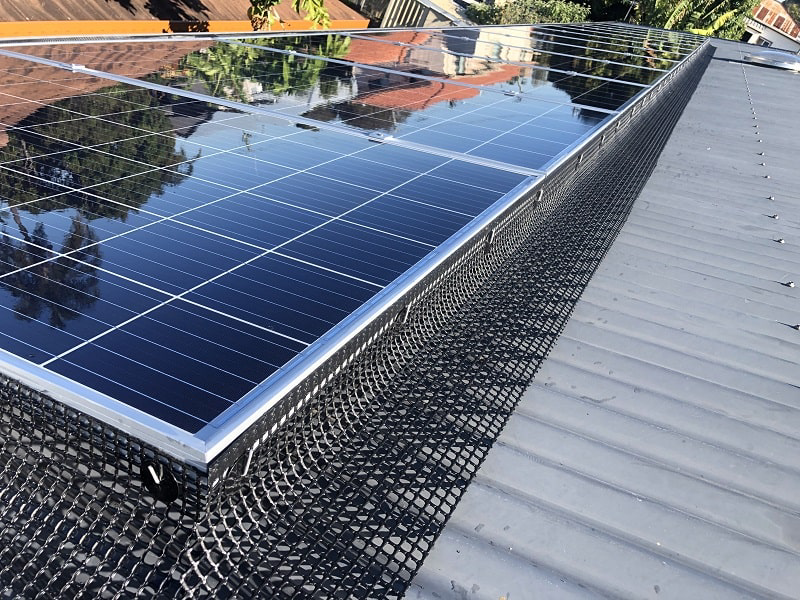 Bird-Solar-Panel-Protection_1
