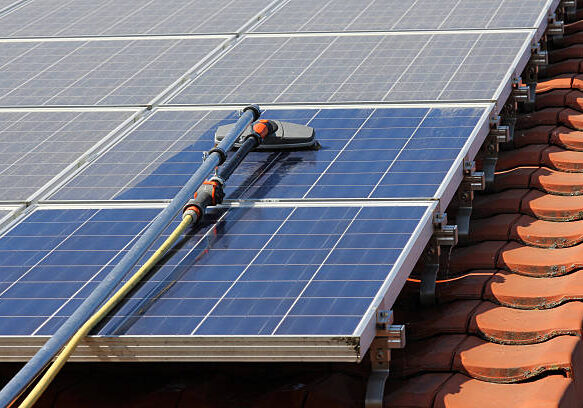 Cleaning photovoltaic moduls from pollen.